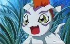 Gomamon