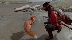 Fox 001 1380