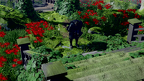 Honour the Shrine 001 320