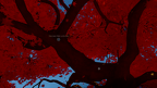 Reflection 001 1512