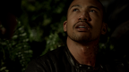 22. From a Cradle to a Grave 001 33111