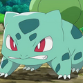 Ash Bulbasaur
