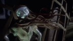 This is Halloween A