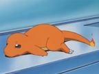 HopHopHop Town Charmander