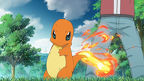 Red Charmander Ember PO