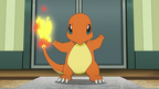Red Charmander PO